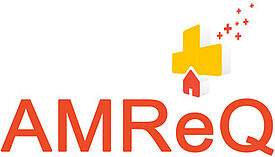 Logo AMReQ
